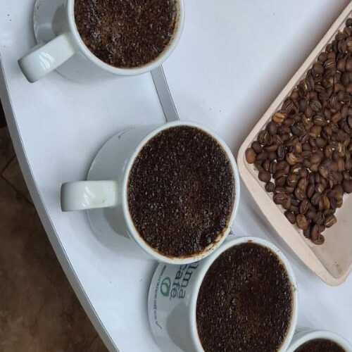 Café molido preparado en taza